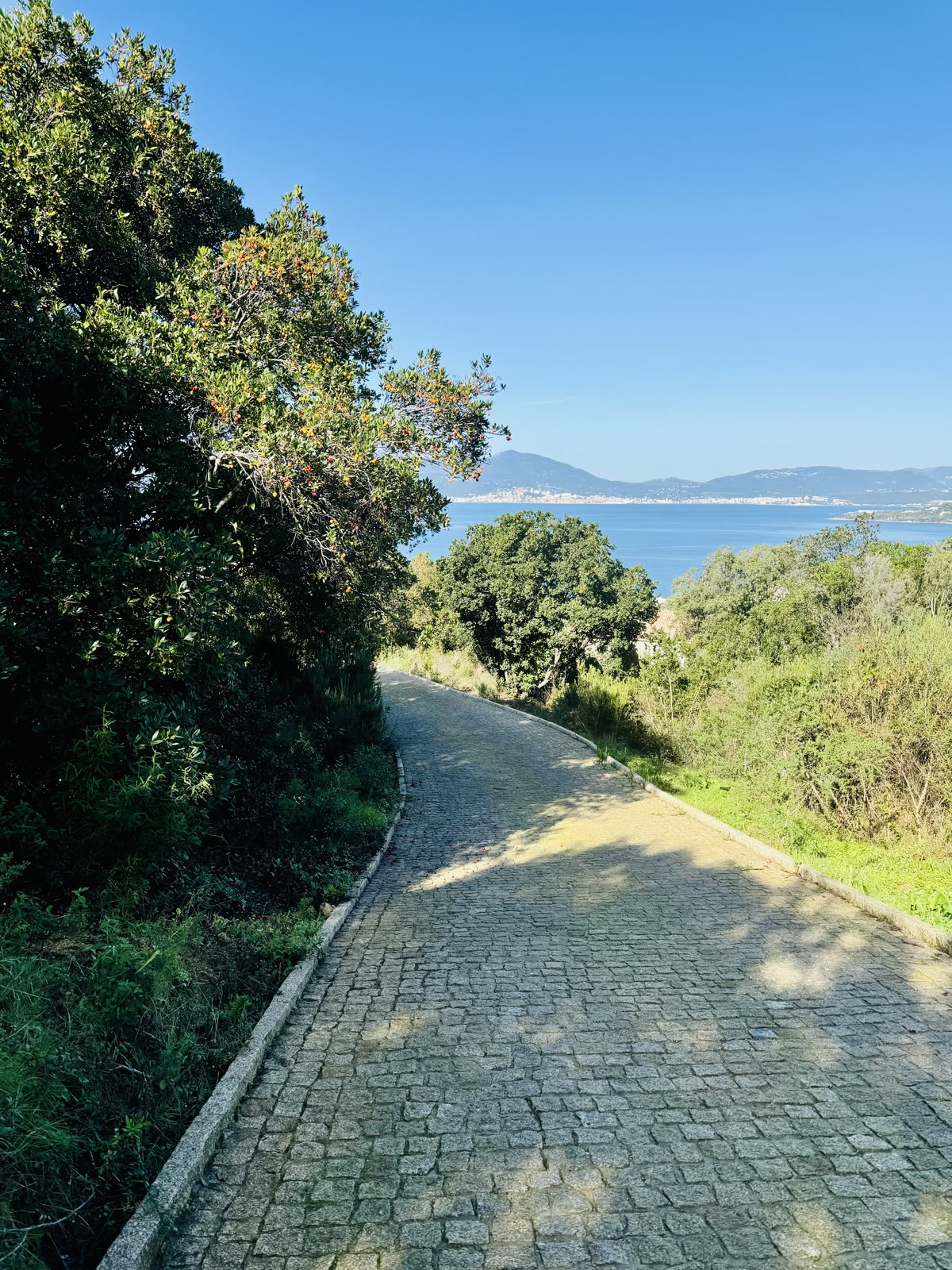 Vue mer depuis le sentier